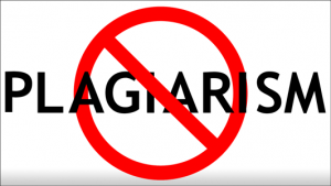 Plagiarismnovin